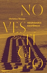 No Vestígio: Desvendando a Negridade e a Existência na História - imagem 2