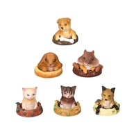 Conjunto de Modelos de Cães Decorativos - Estátuas Fofas para Mesa, Escritório e Carro - imagem 2