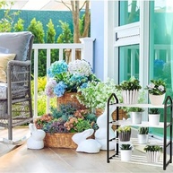 a-para-sapateira-com-estilo-seus-multiuso-porta-praticidade-e-sapatos-organize-a