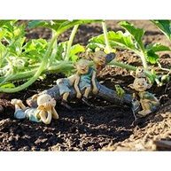 Miniatura de Fada Pixie com Terrário - Estátua Encantadora em Resina para Decoração - imagem 4
