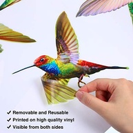 Adesivos Anticolisão para Janela - 6 Peças Beija-flor em Vinil Duplo com Design Colorido e Reutilizável - imagem 5