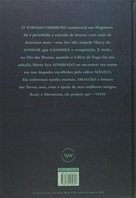 a-perder-que-fogo-potter-a-pode-e-voce-de-calice-magica-o-harry-nao-aventura-a