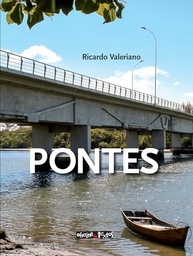 Pontes: Engenharia, Arte e Conhecimento Essencial para Profissionais - imagem 2