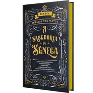 A Sabedoria de Sêneca: Como Viver com Propósito e Calma - imagem 1