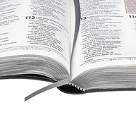 a-sbb-capa-de-couro-ntlh-sintetico-para-biblia-escuro-jovens-estudo-plenitude-cinza-a