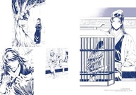 a-serie-light-the-da-apothecary-art-book-de-diaries-ilustracoes-novels-exclusivas-a