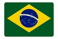 a-seu-adesivo-patriota-bandeira-brasil-55x35cm-destaque-no-veiculo-resinado-do-a
