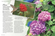 a-sua-para-natureza-revista-436-casa-e-edicao-flores-jardim-encantar-a