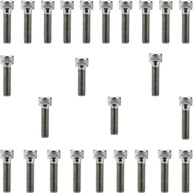 Kit Parafusos Inox Tampa Motor CB250F Twister 2016+ (Esquerda/Direita) - Qualidade Premium - imagem 1