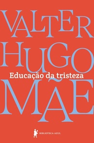 Educação da Tristeza: Um Mergulho Profundo na Dor e na Vida por Valter Hugo Mãe - imagem 1