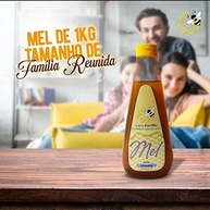 Mel Líquido de Abelha Silvestre Puro 100% Natural - Bisnaga 1Kg - imagem 5