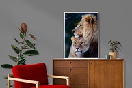 Quadro Decorativo Casal de Leões 90x60cm - Moldura Preta em Madeira com Acabamento Premium - imagem 4
