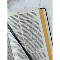 Bíblia NVT Max Capa Dura: Estudo Bíblico Moderno e Acessível - imagem 2