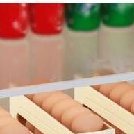 acesso-facil-com-ovos-21-armazene-andares-4-ovos-porta-organizador