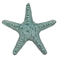 Estrela do Mar para Parede | Decoração Resina Acqua | Estilo Praia e Pousada - imagem 2