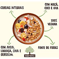 acucar-granola-frutas-terra-800g-mae-mel-sem