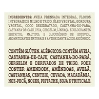 Mãe Terra Granola Tradicional Zero Açúcar Pacote 250G - imagem 4