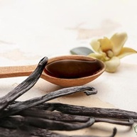 Extrato De Baunilha Natural Vanilla Brasil 30 Ml Zero Açúcar - Kit 2 - imagem 1