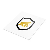 Adesivo Gshield: Decore com a Força do Gorila! - imagem 1