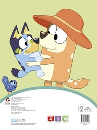 adesivos-superatividades-aventuras-para-bluey-500-criativas-divertidos-com-a-adesivos-a