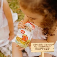 aditivos-acucar-kit-papinhas-organicas-natuzinho-a-sabor-sem-6-maca-a