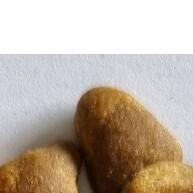 Ração Green Paws Cordeiro e Batata Doce 12kg para Cães Adultos - imagem 2