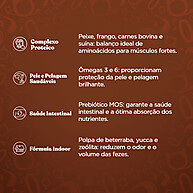 Quatree Gourmet: Ração Premium para Cães Adultos - imagem 2