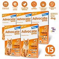 Advocate Gatos: Proteção Total em 3 Doses! - imagem 1