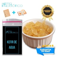 Mega Kit Kombucha + Kefir De Leite + Água + Coco + Iogurte Infinito - imagem 5