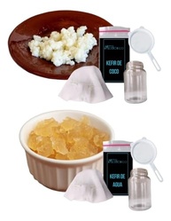 Kit Kefir De Coco + Kefir De Agua Ganhe 2x 500ml + Voal + Peneira Cortesia! - imagem 2