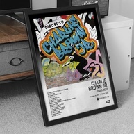 Quadro Spotify Álbum Papo Reto Charlie Brown Jr - 33x43cm - Arte Musical com Moldura Ecológica - imagem 3