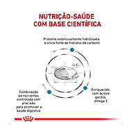 Royal Canin Hypoallergenic: Alívio para Cães Alérgicos - imagem 2