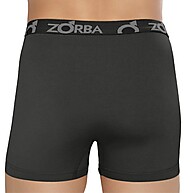 Cueca Boxer Zorba com Abertura: Conforto e Estilo em Algodão - imagem 2
