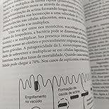 alimentos-a-e-profissionais-estudantes-microbiologia-para-dos-seguranca-da-guia-essencial-a