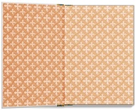 almas-medico-de-lucas-e-de-homens-a-edicao-de-capa-dura-especial-sao-a-saga-a