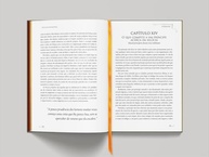 almofadada-principe-luxo-a-a-poder-edicao-do-arte-o-domine-de-a