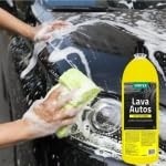 Kit Completo Detalhamento Automotivo: Removex, Alumax, Shampoo Vintex e Pincel - imagem 3