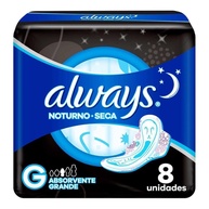 Always Noites: Absorção Imbatível para Suas Noites - imagem 1