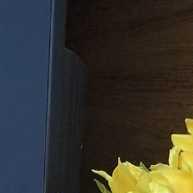 Cervo Decorativo 3D: Arte em Detalhes para Seu Ambiente - imagem 2
