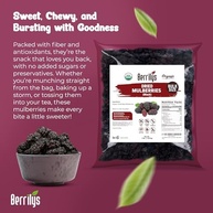 Berrilys Amoras Secas, Pretas, Orgânicas, 3 Lb, Amoras Secas, Não Transgênicas, Sem Enxofre, Cruas, Lanches Saudáveis, Ótimo Ingrediente para Fins de Panificação, Vegano, Natural - imagem 3