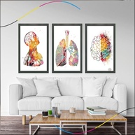 Quadro Decorativo Anatomia Humana - Moldura Elegante para Consultórios e Ambientes Médicos - imagem 2