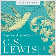 A Anatomia de um Luto: Reflexões de C.S. Lewis sobre Perda e Fé - imagem 3