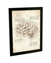 Quadro Decorativo A4 Cérebro Anatomia Projeto Retro Da Vinci - Arte Científica para Decoração - imagem 1