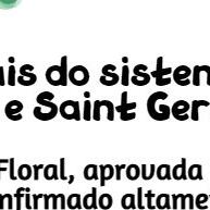 Floral de Bach Pet 100ml: Solução Natural para Ansiedade e Estresse em Animais - imagem 2