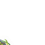 Livro Infantil Procure e Encontre - Animais - imagem 1