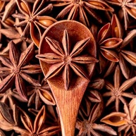 Especiaria para Gin Tônica Anis Estrelado 1kg - imagem 4
