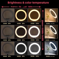 Ring Light ANLAIKE: Iluminação Profissional para Lives e Fotos - imagem 2