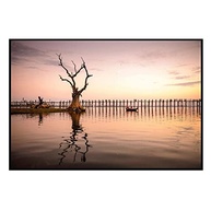 Quadro Decorativo Barcelona Arvore Anoitecer - MDF 60x90cm | Decore com Estilo e Sofisticação - imagem 2