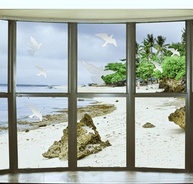 Adesivos Anticolisão para Pássaros - Proteção Transparente para Janelas e Portas de Vidro (12 Peças) - imagem 5