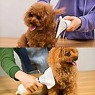 aparelho-so-um-em-penteia-e-seca-pets-para-1-em-2-secador